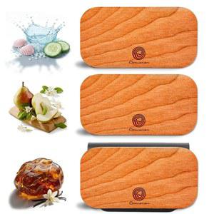 자동차 공기 청정기 - 바이저 클립용 목재 공기 청정제 - 오래 지속되는 자동차 냄새 제거기 - 차량 향기 - 다양한 향 리필 앰버 - 마린 - 잉글리시 배, 클립