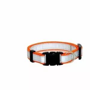 [반려] 강아지 목줄 오렌지 리드줄 애완견목줄 개리드줄