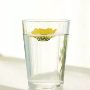 트라이탄컵 414ml 안깨지는 카페컵 대한민국 100112 Tuo8+7LNO