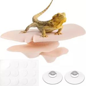 Gsbnjuy 버섯 장식 등반 홀드 키트 현실적인 테라리움 식물 점프 거미 서식지 인클로저 레오파드 도마