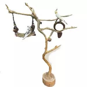 횟대 조류 앵무새 조류용품 사다리 횃대 둥지 놀이터 스탠드