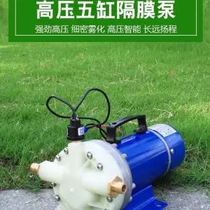 고압 펌프 분무기 약 세차 기계 실린더 스프레이 V48V60V5 다이어프램