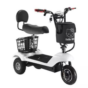 삼륜 스쿠터 전동 3륜 세발 단인용 세바퀴 오토바이 전기 이륜차