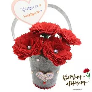 나은상점 펠트 카네이션 꽃바구니 1인 전용포장 어버이날 스승의날 감사 선물