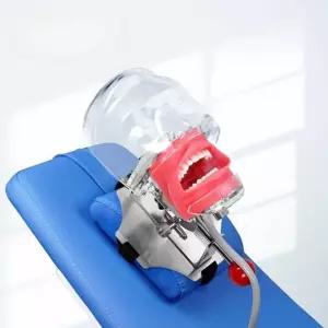 실습 마네킹 교보재 스케일링 교구 교육 덴티폼 치대 구강