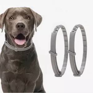 야외 산책 강아지 고양이 해충방지 목걸이 진드기 모기 기피제 벌레 방지