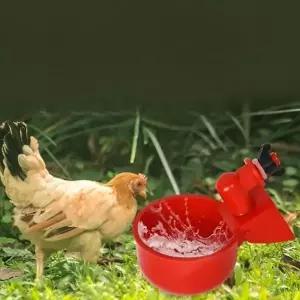 bns 닭 자동 급수기 물통 병아리 오리 급수 닭장 양계장 물 수평컵 비둘기 새 WFLIQXP
