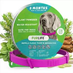 퍼라이프 벼룩 및 진드기 목걸이 - 방수 핑크 개 예방을 위한 반려동물 용품 모든 품종에 안전합니다