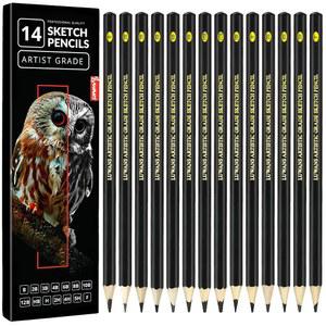 드로잉 연필 14종 세트 (B - 12B) 드로잉, 음영 및 낙서용 스케치 연필 | 예술가 및 초보자를 위한 전문 스케치 연필 흑연 등급