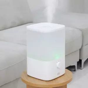 레이나4524 복합식 가습기 대용량 4L 초음파 가열식 무드등기능 복합가습기