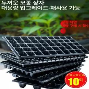 깊은 모종트레이 육묘 50구 재배 모종 모종판 원예 삽목 대형 새싹 딸기 연결포트 육모판