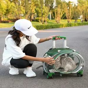 고양이 이동장 투명 애견 백팩 강아지 기내용