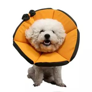 강아지 리본 넥카라 소형견 중형견 깔대기 보호대 대형견 목 초대형견 생활