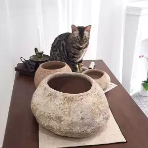 (힘찬)테라원 빈티지 아쿠아 토분 MT041 스톤팟 대 33x25x18화분 스톤 인테리어 거실 개업축하 식물키우기