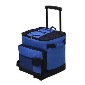 피크닉보냉백 편리튼튼 대용량 캐리어 아이스박스 보냉백 (블루 43L