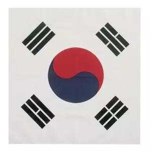 태극기 손수건 스카프 응원용 붉은악마 월드컵손수건 월드컵스카프 응원손수건