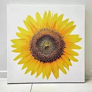 꽃송이 들어오는 큰 돈 액자 해바라기그림 해바라기