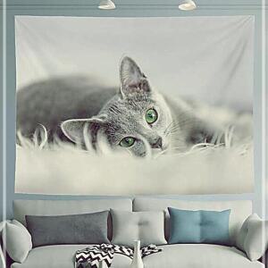 러시안블루 패브릭포스터 소-100X75