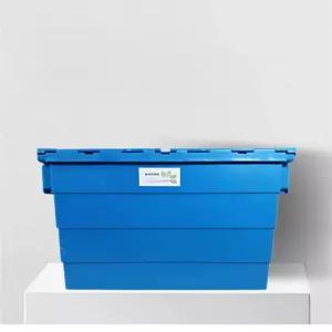 콩나물 기계 완전 발아 새싹 자동 생산 가정용 기르는