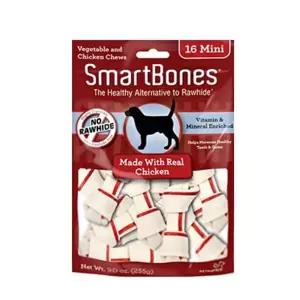 스마트본 치킨 미니 16p 치석.구취