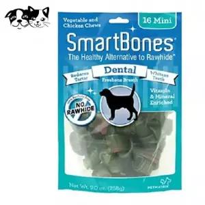 스마트본 덴탈 미니 16P 치석.구취