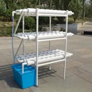 실내 수경 재배기 재배 식물 새싹 식물키우기