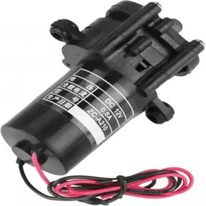 JILWGVUWZ 하수/유출 펌프 ZC-A250/ZC-A210 DC 12V/24V 미니 자가 프라이밍 부식 방지 플라스틱 기어 워터