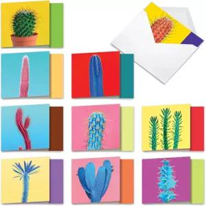 최고의 카드 회사 - 봉투가 있는 빈 노트 10장 4 x 5.12 벌크 올 케이스 박스 컬러풀 선인장