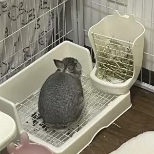 토끼 배변통 화장실 변기 플라스틱 고양이화장실 후드형