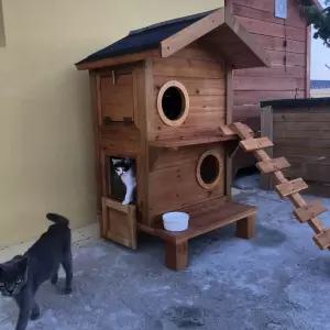 길고양이겨울집 실외고양이집 야외캣타워 마리 겨울 고양이집 숨숨집 급식소