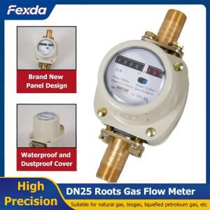 고정밀 루츠 가스 유량계 기계식 천연가스 산소 바이오가스 LPG 산업용 정량식 1인치