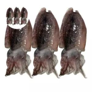 국내산 냉동 손질 갑오징어 1kg