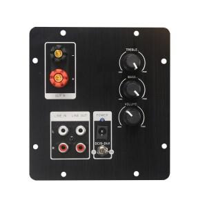 HIFIDIY LIVE 2.0 채널 스피커 증폭기 보드 오디오 TPA3116 100Wx2 전원 Bluetooth 5.0