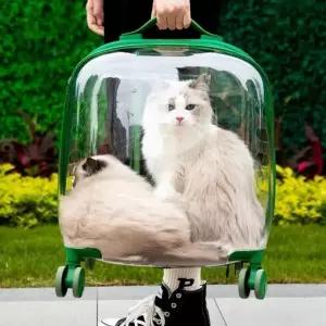 바퀴달린 캐리어 투명 강아지 고양이 이동장 가방 여행용 외출용 펫 트롤리 휠