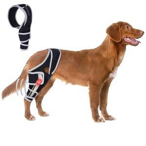 다리 교정기 인대 십자 뒷다리 XL 포함 앞다리 부상 또는