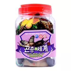 나비 거미 곤충이름 배우기 학습모형 발달 38개월 과학놀이 어린이집 IQ 수업 아동 EQ