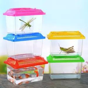 옆집샵 곤충 채집통 다슬기와 곤충 관찰을 위한 휴대용 투명 케이스 소 대