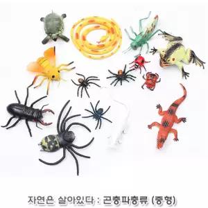 곤충학습 과학시간 수업용 파충류 피규어 38개월 상상력 배우기 인지발달 집에서 4세