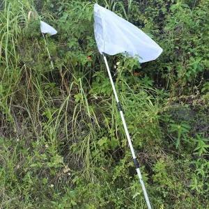 곤충채집망 3단 포충망 잠자리 신축 길이조절