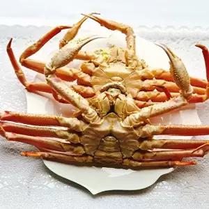 [장보리]북해도 수율 가득 자숙 대게 2미 1kg내외