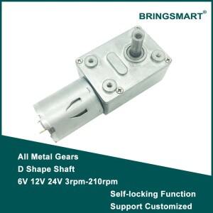 Bringsmart JGY-370 웜기어 모터 6v 고 토크 12V DC 저속 볼트 감속기 마이크로 자동 잠금 전기