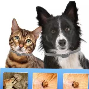 강아지 진드기 퇴치 목걸이 강아지 모기퇴치 65cm