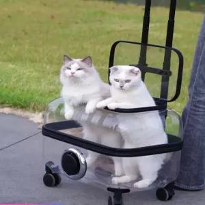 이동 캐리어 고양이 강아지 바퀴달린 가방 애견 투명 펫 이동장