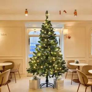 150cm 감성 루미나 전구 트리 세트(100구 웜색) 51(0405) C트리 겨울 크리스마스장식 소품 인테리어 장식용