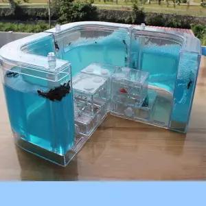 조카선물 자연 과학 곤충키우기 개미집 개미관찰 어린이교구