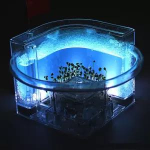 과학 개미관찰 개미키우기 사육장 앤트하우스 LED개미집 두뇌발달