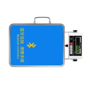 100키로저울 캐리어무게측정기 휴대용 키로저울 고리 측정기