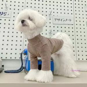 강아지옷터틀넥 면티셔츠uvw043