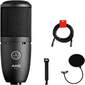 XLR-XLR 케이블 팝 필터 및 10팩 스트랩 번들이 포함된 AKG P120 카디오이드 콘덴서 마이크(블랙)