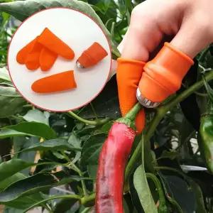 세트 골무 다듬기 손질 중형 칼 골무 칼 수확용 골무 줄기